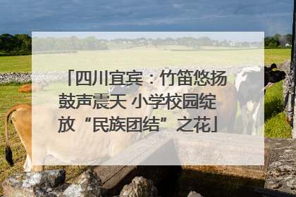 四川宜宾：竹笛悠扬鼓声震天 小学校园绽放“民族团结”之花