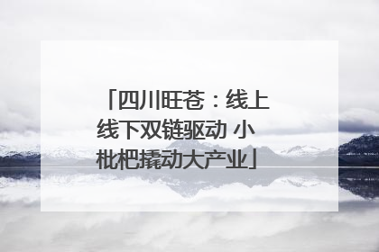 四川旺苍：线上线下双链驱动 小枇杷撬动大产业