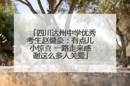 四川达州中学优秀考生赵健豪：有点儿小惊喜 一路走来感谢这么多人关爱