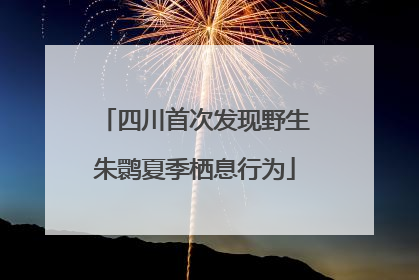 四川首次发现野生朱鹮夏季栖息行为