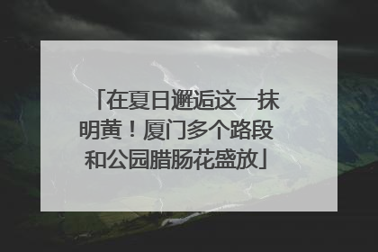 在夏日邂逅这一抹明黄！厦门多个路段和公园腊肠花盛放