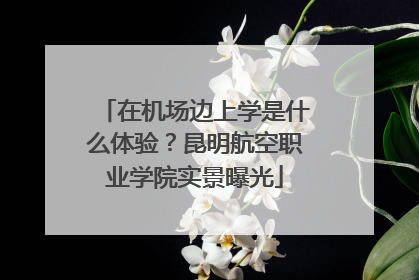 在机场边上学是什么体验？昆明航空职业学院实景曝光