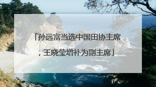 孙远富当选中国田协主席，王晓莹增补为副主席