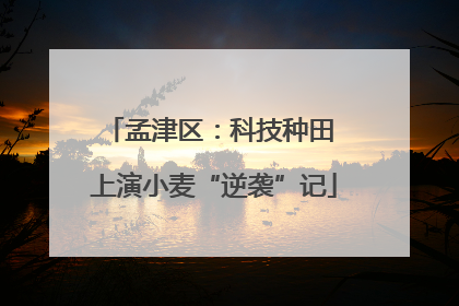 孟津区：科技种田 上演小麦“逆袭”记