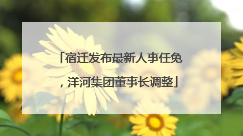 宿迁发布最新人事任免，洋河集团董事长调整