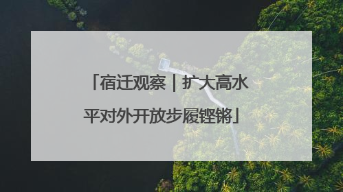 宿迁观察｜扩大高水平对外开放步履铿锵