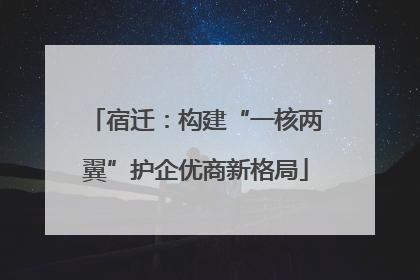 宿迁：构建“一核两翼”护企优商新格局
