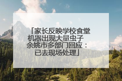 家长反映学校食堂机器出现大量虫子 余姚市多部门回应：已去现场处理