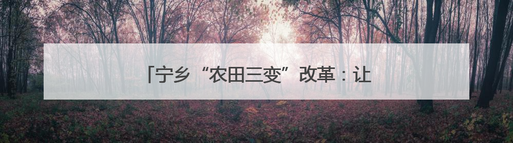宁乡“农田三变”改革：让种田人尝甜头的致富密码