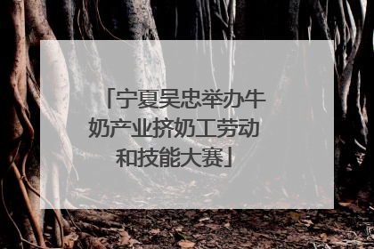 宁夏吴忠举办牛奶产业挤奶工劳动和技能大赛