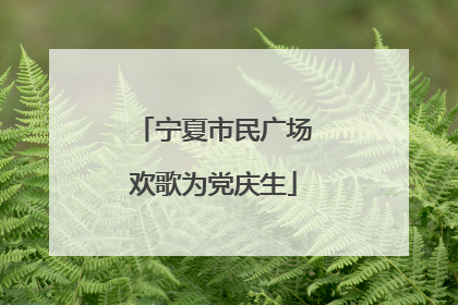 宁夏市民广场欢歌为党庆生