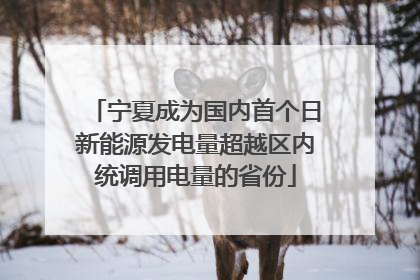 宁夏成为国内首个日新能源发电量超越区内统调用电量的省份