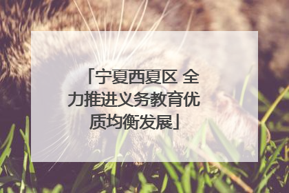 宁夏西夏区 全力推进义务教育优质均衡发展