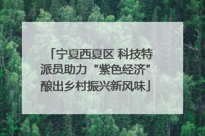 宁夏西夏区 科技特派员助力“紫色经济”酿出乡村振兴新风味