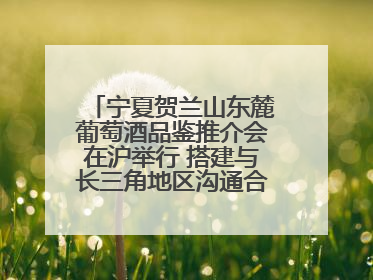 宁夏贺兰山东麓葡萄酒品鉴推介会在沪举行 搭建与长三角地区沟通合作的桥梁
