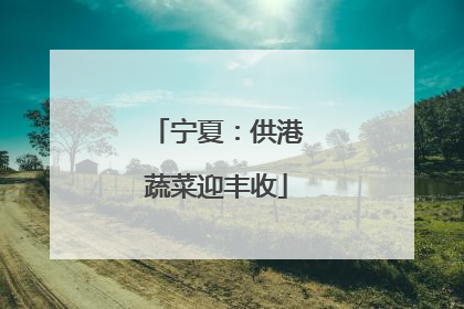 宁夏：供港蔬菜迎丰收