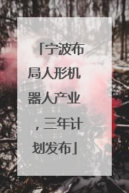 宁波布局人形机器人产业，三年计划发布