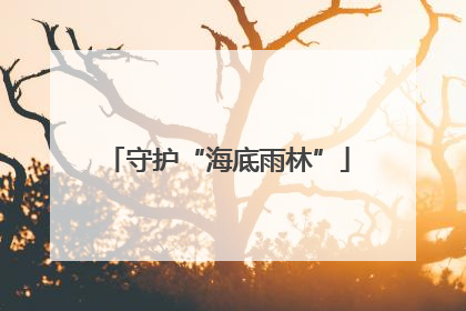 守护“海底雨林”