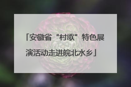 安徽省“村歌”特色展演活动走进皖北水乡