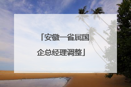 安徽一省属国企总经理调整