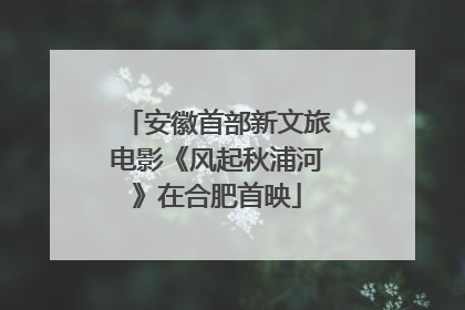 安徽首部新文旅电影《风起秋浦河》在合肥首映