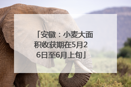安徽：小麦大面积收获期在5月26日至6月上旬