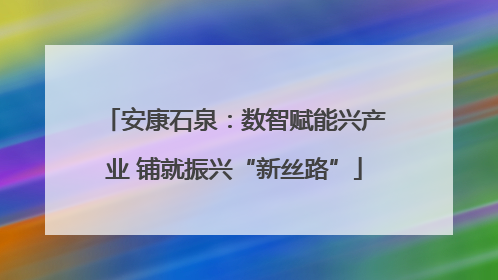 安康石泉：数智赋能兴产业 铺就振兴“新丝路”