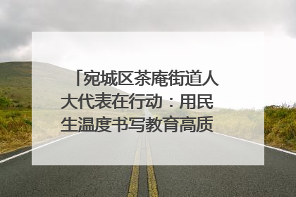 宛城区茶庵街道人大代表在行动：用民生温度书写教育高质量发展答卷