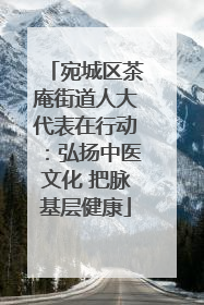 宛城区茶庵街道人大代表在行动：弘扬中医文化 把脉基层健康