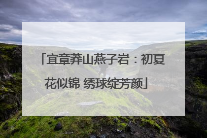 宜章莽山燕子岩：初夏花似锦 绣球绽芳颜