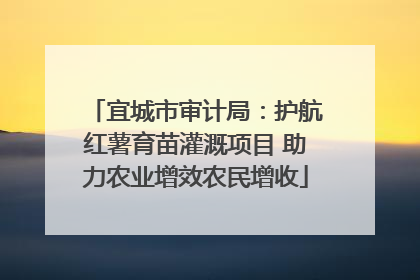 宜城市审计局：护航红薯育苗灌溉项目 助力农业增效农民增收