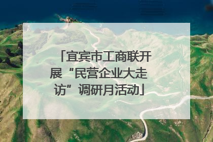 宜宾市工商联开展“民营企业大走访”调研月活动
