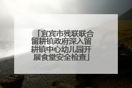宜宾市残联联合留耕镇政府深入留耕镇中心幼儿园开展食堂安全检查