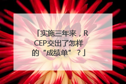 实施三年来，RCEP交出了怎样的“成绩单”？