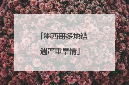 墨西哥多地遭遇严重旱情