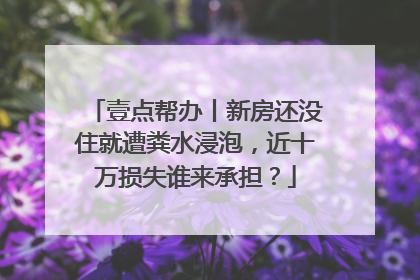 壹点帮办丨新房还没住就遭粪水浸泡，近十万损失谁来承担？