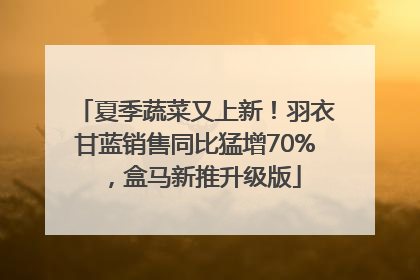 夏季蔬菜又上新！羽衣甘蓝销售同比猛增70%，盒马新推升级版