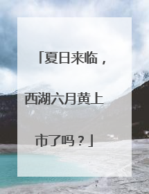 夏日来临，西湖六月黄上市了吗？
