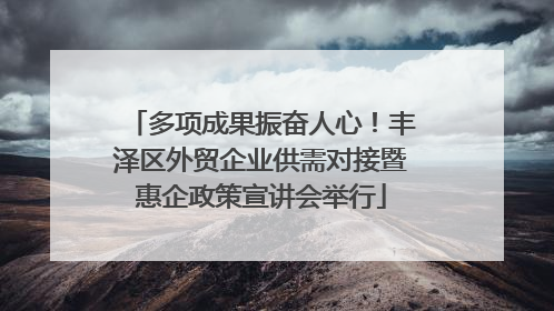 多项成果振奋人心！丰泽区外贸企业供需对接暨惠企政策宣讲会举行