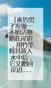 夜钓男子发现一不明活物趴在岸边，用竹竿将其拨入水中后，它又爬回岸边……