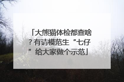 大熊猫体检都查啥？有请模范生“七仔”给大家做个示范