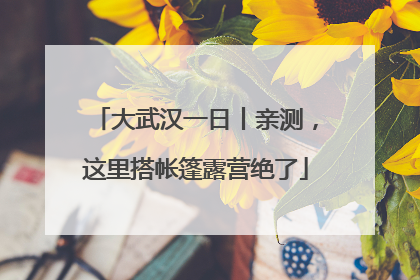 大武汉一日丨亲测，这里搭帐篷露营绝了