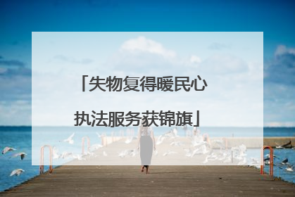 失物复得暖民心 执法服务获锦旗