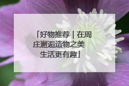 好物推荐｜在周庄邂逅造物之美 生活更有趣