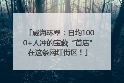 威海环翠：日均1000+人冲的宝藏“首店”在这条网红街区！