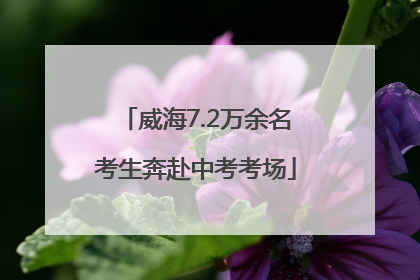 威海7.2万余名考生奔赴中考考场