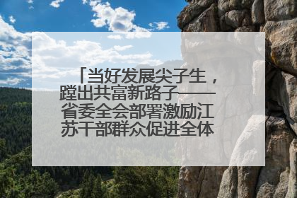 当好发展尖子生，蹚出共富新路子——省委全会部署激励江苏干部群众促进全体人民共同富裕