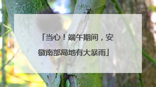 当心！端午期间，安徽南部局地有大暴雨