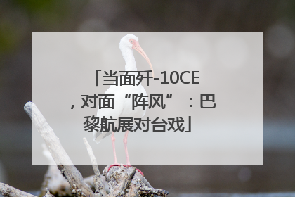 当面歼-10CE，对面“阵风”：巴黎航展对台戏