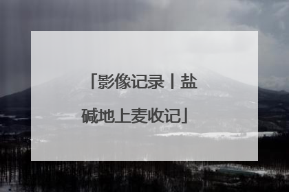 影像记录丨盐碱地上麦收记